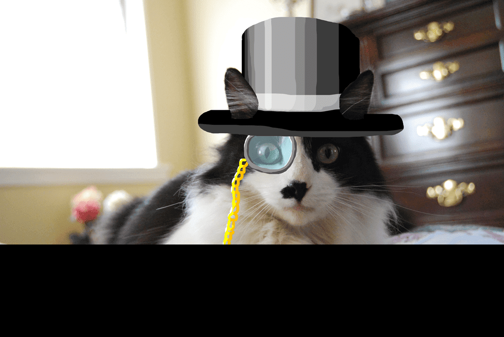 BLACK HAT