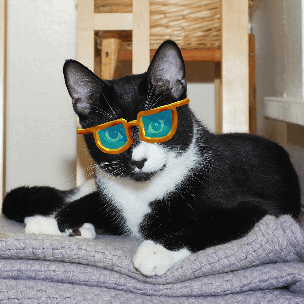 HIPSTERGLASSES