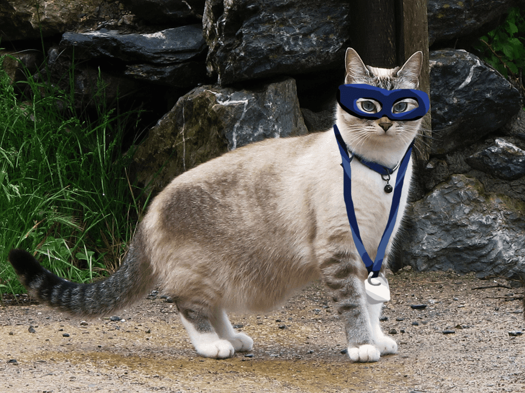 LANYARD